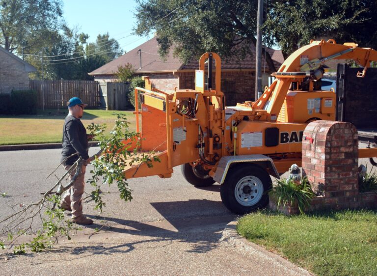 Contractor putting a trimmed tree branch in a woodchipper